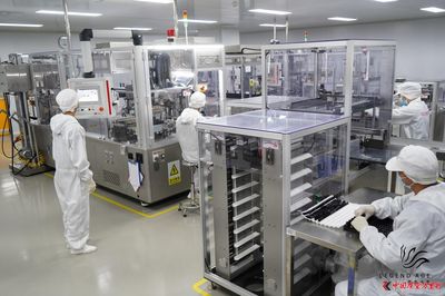 口碑過硬、品質靠譜,這樣的國貨品牌想不愛都難