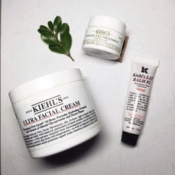 塑料制作的化妝品包裝護(hù)膚品包裝 垃圾分類是分在哪里 最后去了哪里